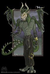 Profile pic - Maim  Character :  Maim  (Ma'ihm)  Like Blackjack, Maim was once a dragon but was cursed by Shine and had his identity stolen and remolded so that he became a commander in the Demonqueen's armies. After Shine was eternally banished, Maim took up residence with a clan of Ranwulfs who thought he was a daemon sent by their dark god. They venerated him right up until the point when the Daemonslayers showed up. Maim fought his old rival, Blackjack, hand-to-hand and lost. To prove Maim was a fraud Blackjack (and also out of spite) tore his wings off. Maim ran away before the tribe could put him to death and now his current whereabouts are unknown.