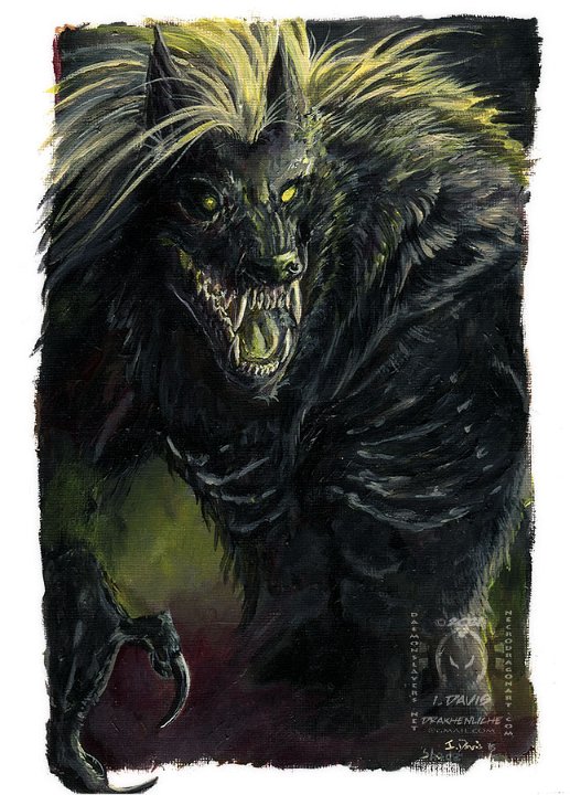 Shade - acrylics