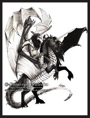 BlackJackandKnightmare by kasia  Artist:  Sythgara  Blackjack and Knightmare  Awesome commission by Kasia. I love the posees and inking!
