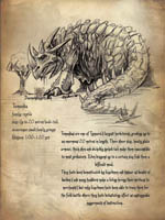 tomanda info
