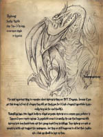 wyvern info